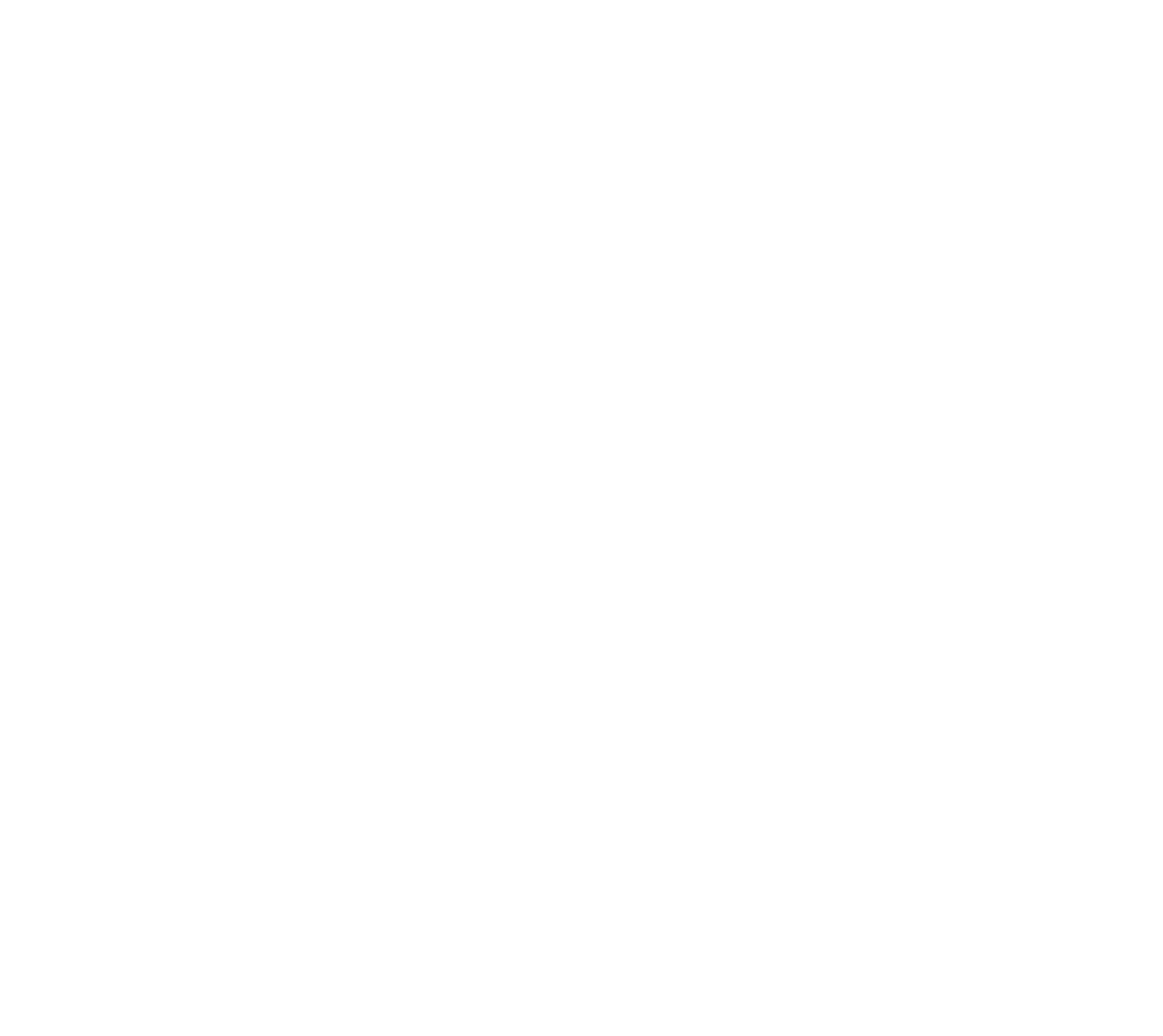 Pace Home Security